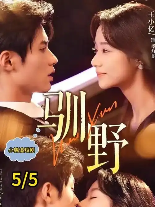 归途列车 年代情感剧全集手机免费在线观看